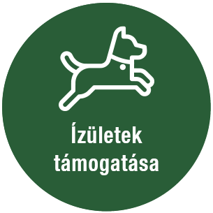 &Iacute;z&uuml;letek t&aacute;mogat&aacute;sa