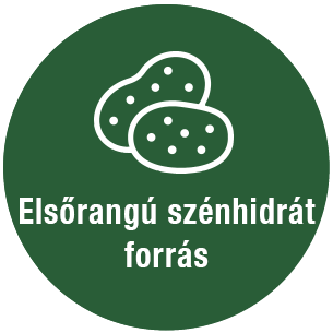 Rizs