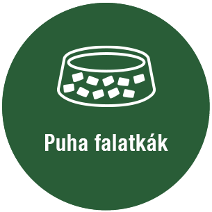 Szaftos falatok