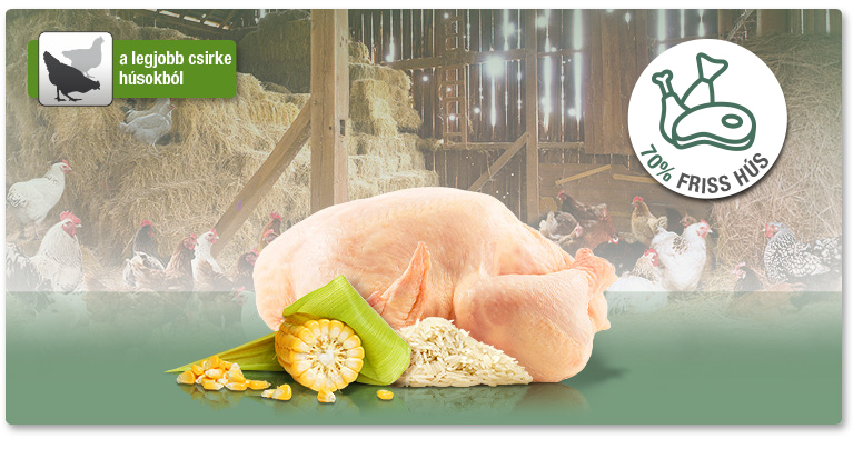 PLATINUM Adult Chicken - Csirke felnőtt sz&aacute;razt&aacute;p. A legjobb csirkeh&uacute;sokb&oacute;l.