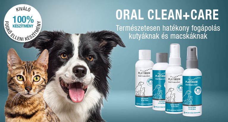 OralClean+Care hatékony fogápolás