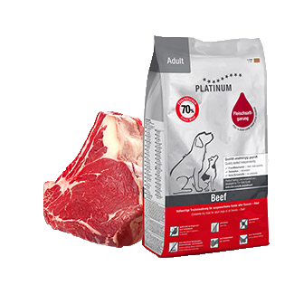 Adult Beef+Potato