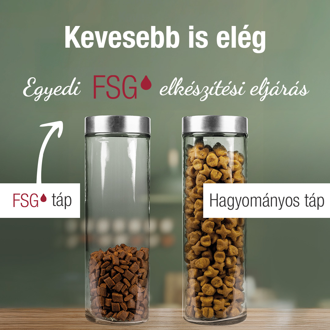 Kutyat&aacute;p pr&eacute;mium minős&eacute;gben a PLATINUM-t&oacute;l