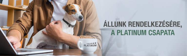 PLATINUM Szolg&aacute;ltat&aacute;sok