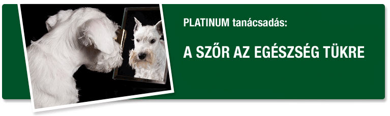 PLATINUM Tanácsadás - A szőr az egészség tükre