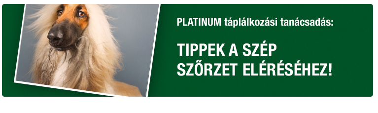 PLATINUM Tanácsadás - Tippek a szép szőrzet eléréséhez