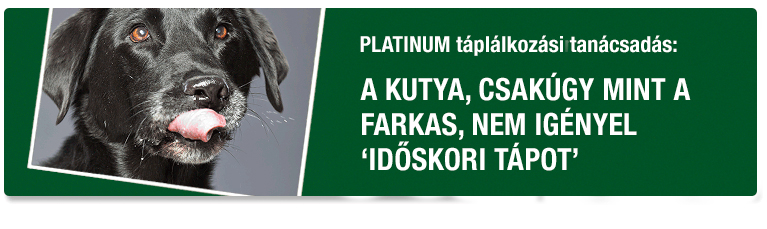 PLATINUM Táplálkozási Tanácsadás - Az időskori tápokkal kapcsolatban