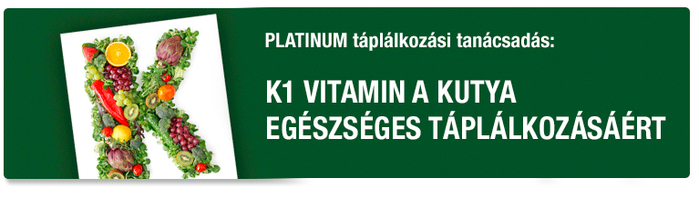 PLATINUM Tanácsadás - K1 vitamin a kutya egészséges táplálkozásáért