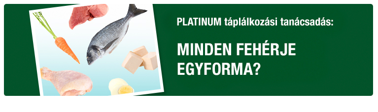 PLATINUM Tan&aacute;csad&aacute;s - Minden feh&eacute;rje egyforma?