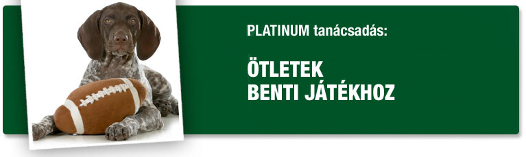 PLATINUM tanácsok: Ötletek benti játékhoz