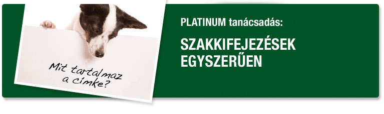 PLATINUM tanácsadás - Szakkifejezések egyszerűen