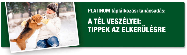 PLATINUM tanácsadás - Tippek a téli veszélyek elkerülésére