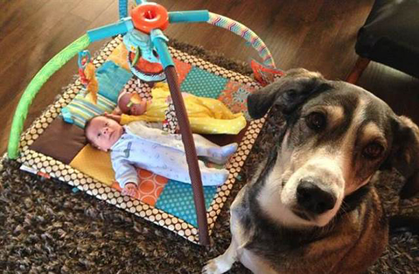 kutya-gyerek kapcsolat: Az idő