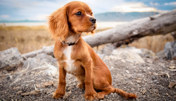 &uuml;gyelj&uuml;nk a rendszeress&eacute;gre