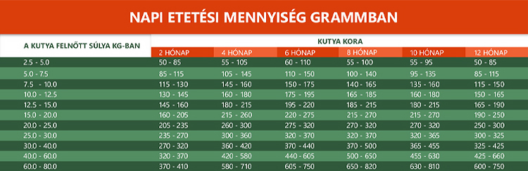 k&ouml;ly&ouml;k kutya etet&eacute;se platinum t&aacute;bl&aacute;zattal