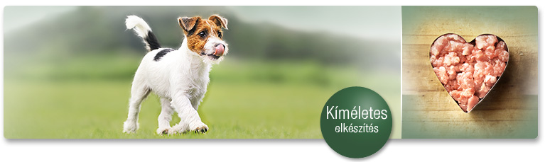 PLATINUM elk&eacute;sz&iacute;t&eacute;s