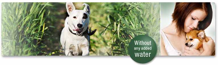 A PLATINUM kulonbseg