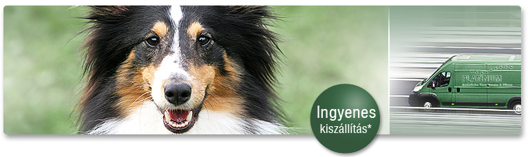 Ingyenes kisz&aacute;ll&iacute;t&aacute;s