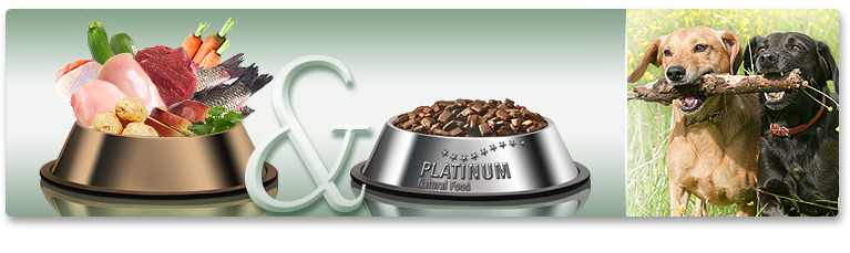 PLATINUM &aacute;llateledelek, mint a &bdquo;BARF&rdquo; &eacute;trend kieg&eacute;sz&iacute;tői vagy alternat&iacute;v&aacute;i