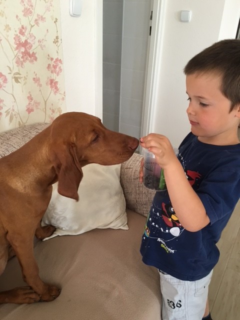 Nagyn&eacute; Vizi Aliz &eacute;s vizsl&aacute;ja v&eacute;lem&eacute;nye a PLATINUM kutyat&aacute;pr&oacute;l