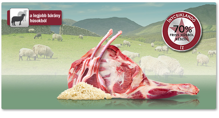 PLATINUM Lamb+Rice - Bárány+Rizs felnőtt száraztáp. A legjobb bárányhúsokból.